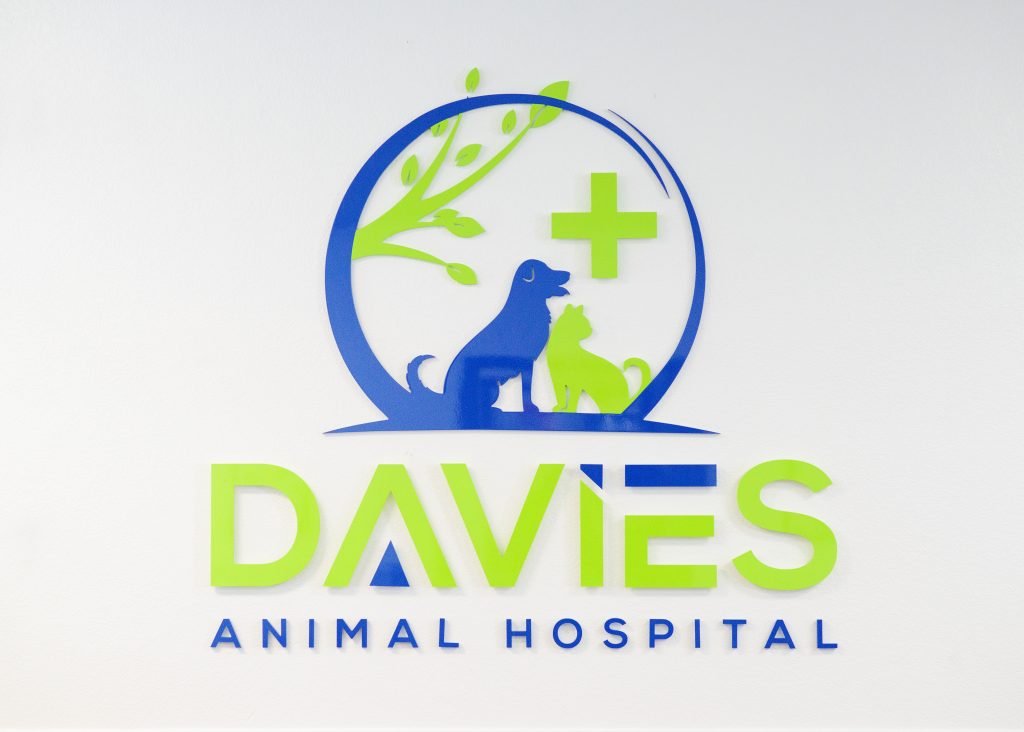 Hospital Tour Davies Animal Hospital
